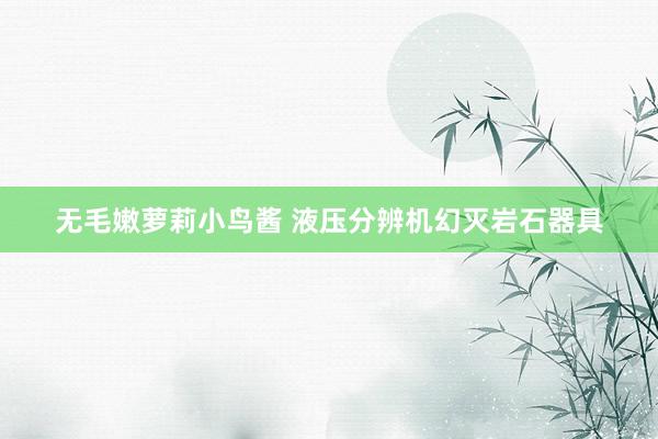 无毛嫩萝莉小鸟酱 液压分辨机幻灭岩石器具