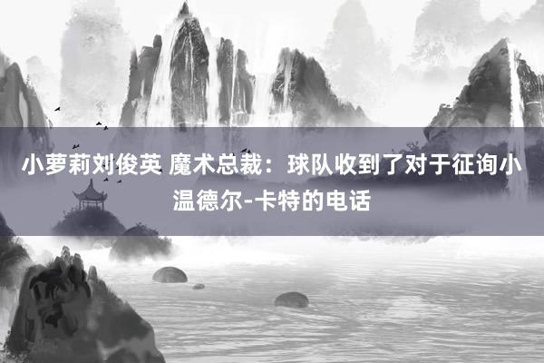 小萝莉刘俊英 魔术总裁:球队收到了对于征询小温德尔-卡特的电话