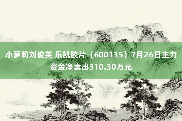小萝莉刘俊英 乐凯胶片（600135）7月26日主力资金净卖出310.30万元