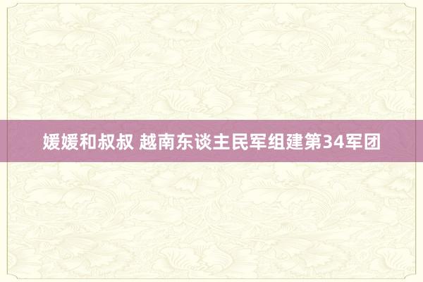 媛媛和叔叔 越南东谈主民军组建第34军团