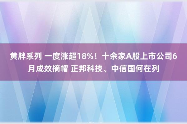 黄胖系列 一度涨超18%！十余家A股上市公司6月成效摘帽 正邦科技、中信国何在列