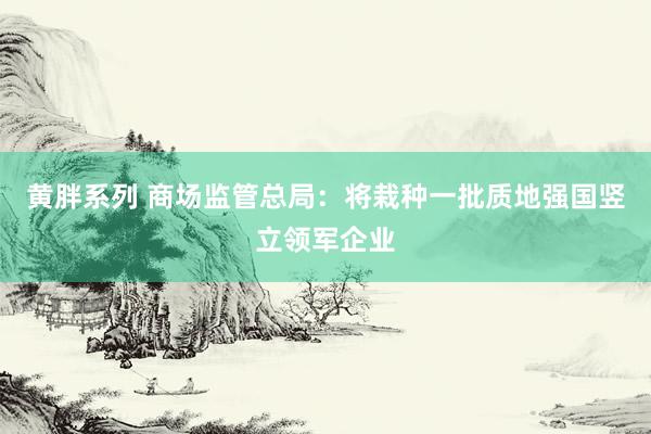 黄胖系列 商场监管总局：将栽种一批质地强国竖立领军企业