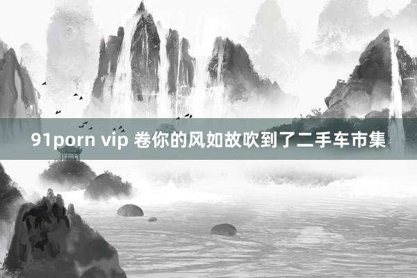 91porn vip 卷你的风如故吹到了二手车市集