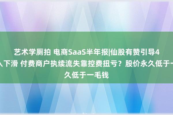艺术学厕拍 电商SaaS半年报|仙股有赞引导4年收入下滑 付费商户执续流失靠控费扭亏？股价永久低于一毛钱