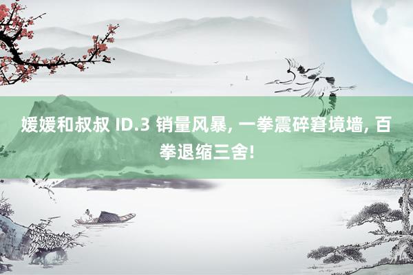 媛媛和叔叔 ID.3 销量风暴， 一拳震碎窘境墙， 百拳退缩三舍!