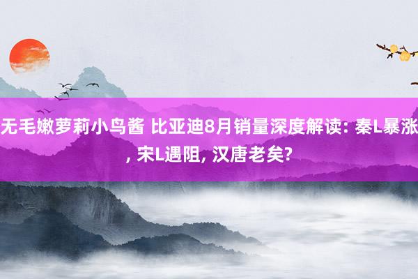 无毛嫩萝莉小鸟酱 比亚迪8月销量深度解读: 秦L暴涨， 宋L遇阻， 汉唐老矣?