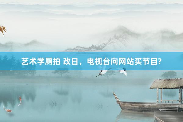 艺术学厕拍 改日，电视台向网站买节目?