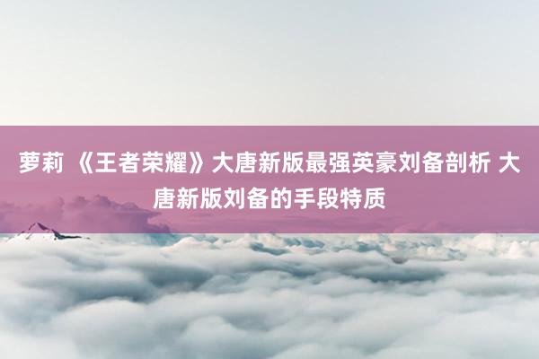 萝莉 《王者荣耀》大唐新版最强英豪刘备剖析 大唐新版刘备的手段特质