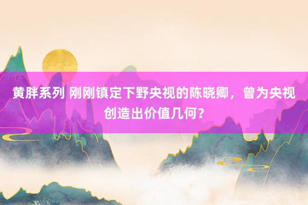 黄胖系列 刚刚镇定下野央视的陈晓卿，曾为央视创造出价值几何？