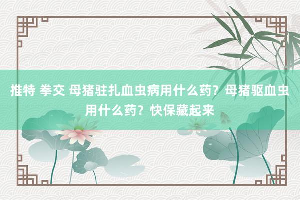 推特 拳交 母猪驻扎血虫病用什么药？母猪驱血虫用什么药？快保藏起来