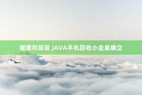 媛媛和叔叔 JAVA手机回收小圭臬确立