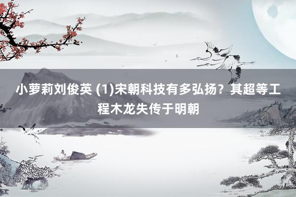 小萝莉刘俊英 (1)宋朝科技有多弘扬？其超等工程木龙失传于明朝