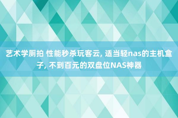 艺术学厕拍 性能秒杀玩客云， 适当轻nas的主机盒子， 不到百元的双盘位NAS神器