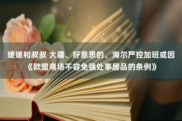 媛媛和叔叔 大疆、好意思的、海尔严控加班或因《欧盟商场不容免强处事居品的条例》