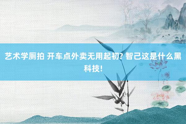 艺术学厕拍 开车点外卖无用起初? 智己这是什么黑科技!