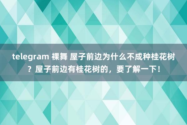 telegram 裸舞 屋子前边为什么不成种桂花树？屋子前边有桂花树的，要了解一下！