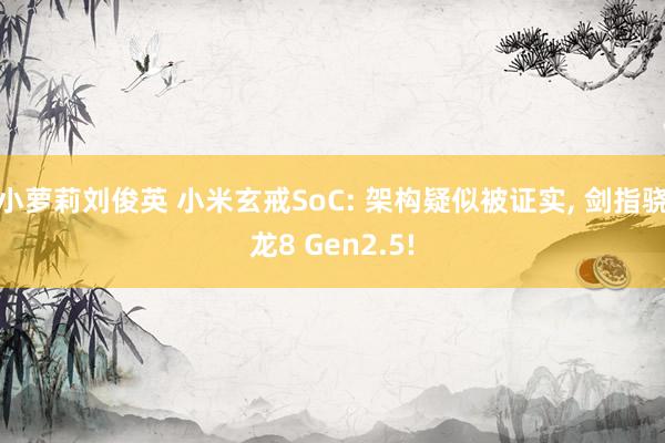 小萝莉刘俊英 小米玄戒SoC: 架构疑似被证实， 剑指骁龙8 Gen2.5!