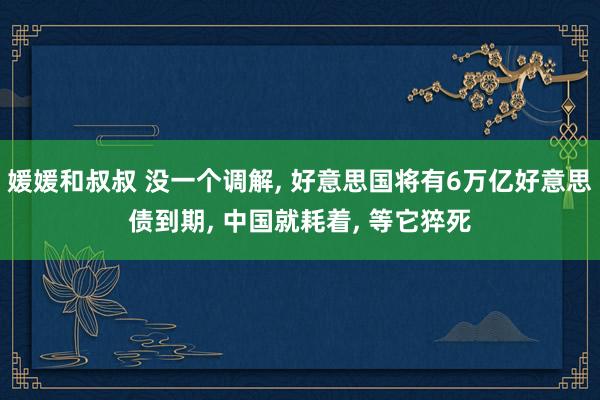 媛媛和叔叔 没一个调解， 好意思国将有6万亿好意思债到期， 中国就耗着， 等它猝死