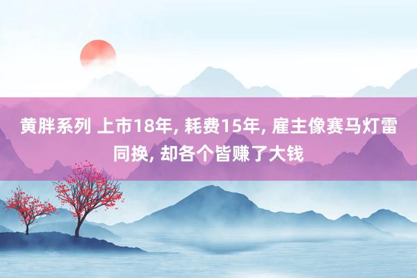 黄胖系列 上市18年， 耗费15年， 雇主像赛马灯雷同换， 却各个皆赚了大钱