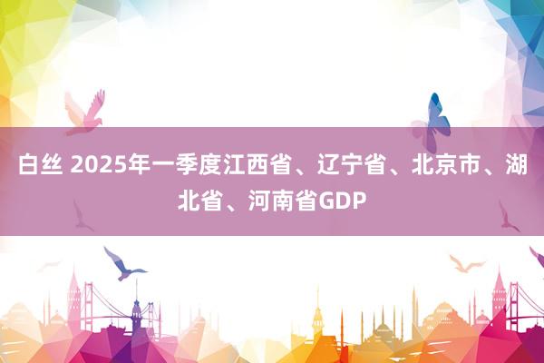 白丝 2025年一季度江西省、辽宁省、北京市、湖北省、河南省GDP