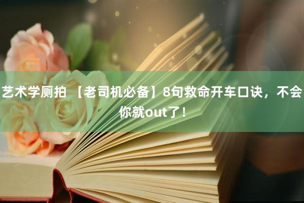 艺术学厕拍 【老司机必备】8句救命开车口诀，不会你就out了！