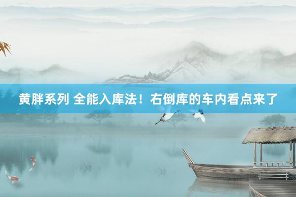 黄胖系列 全能入库法！右倒库的车内看点来了